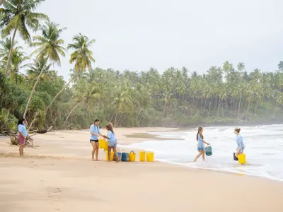 Sea Turtle Conservation