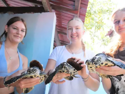 Turtle Conservation and Rehabilitation in Bali, Indonesia, photo 11