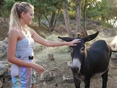 Animal Rescue Sanctuary Volunteer Program, Croatia
