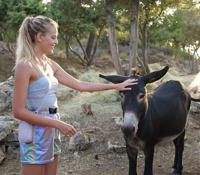 Animal Rescue Sanctuary Volunteer Program, Croatia