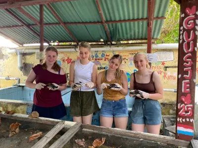 Summer camp: Sea turtle conservation in Bali, Indonesia, photo 5