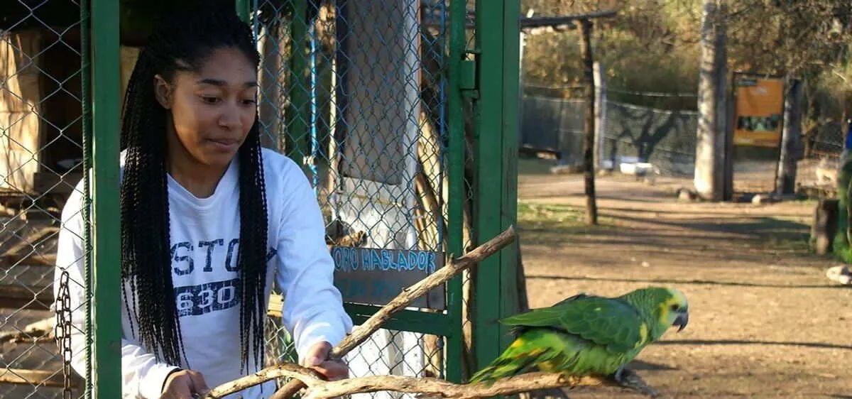 Animal shelter in Argentina, photo 5