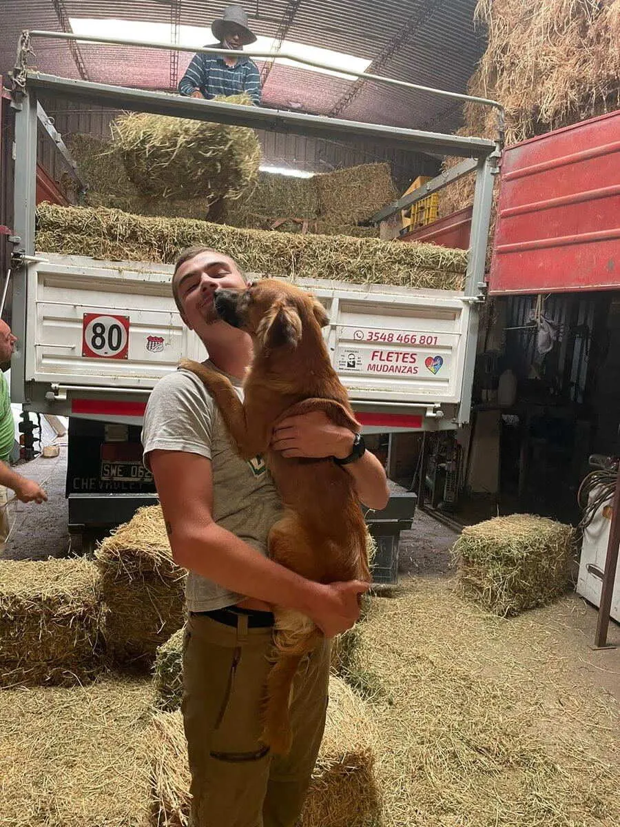 Animal shelter in Argentina, photo 8