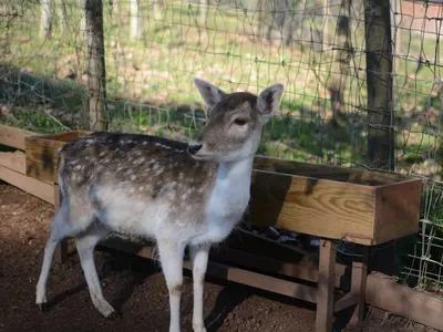 Wildlife shelter in Portugal