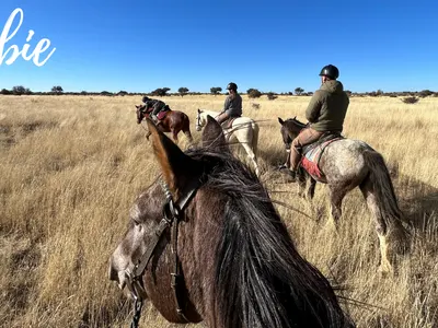 Samantha dans la réserve namibienne : son expérience auprès des animaux sauvages !