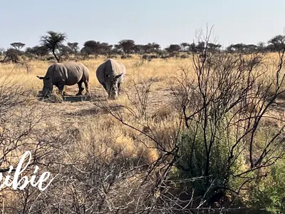 Marine s’est engagée en Namibie pour la protection des animaux sauvages !