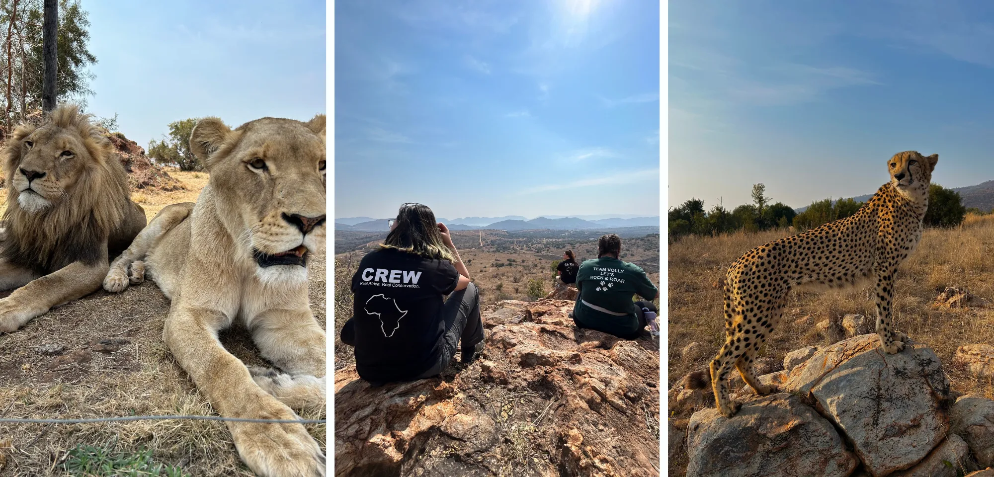 Mahé s’est engagée auprès des animaux sauvages en Afrique du Sud, elle raconte !