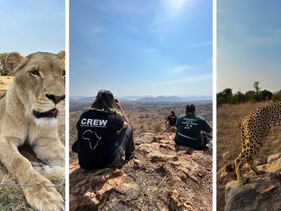 Mahé s’est engagée auprès des animaux sauvages en Afrique du Sud, elle raconte !