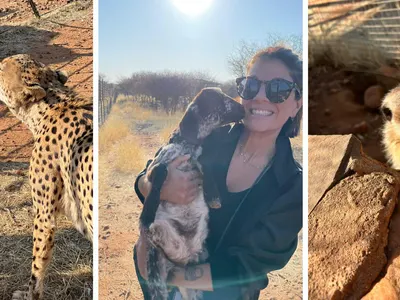 Go work as an animal caregiver abroad in Namibia!