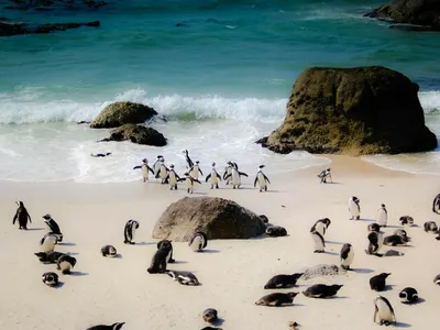 Cultural tour in South Africa