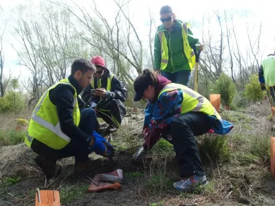 Conservation project in New Zealand, photo 17