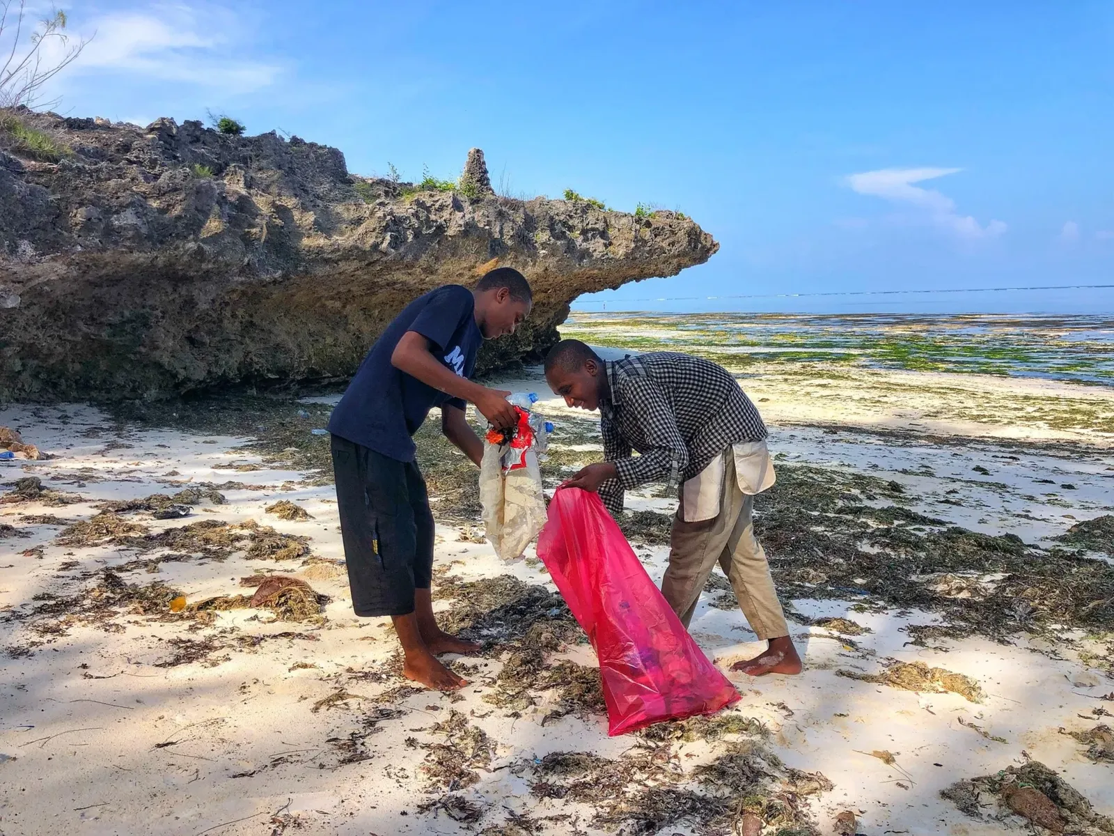 Conservation des tortues marines à Zanzibar, Tanzanie, photo 13