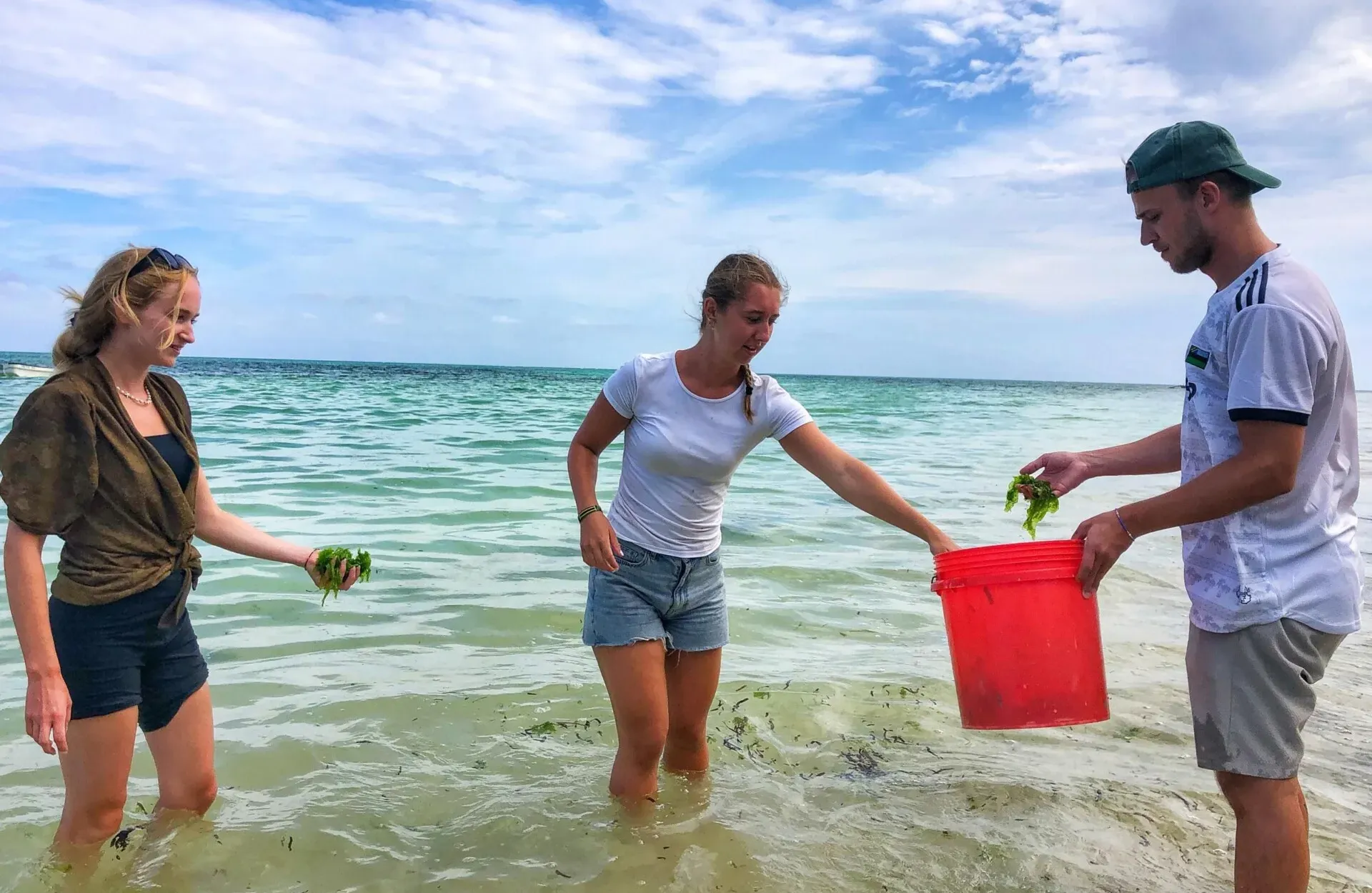 Trois volontaires, de l’eau jusqu’aux genoux dans un lagon turquoise, ramassent des algues dans un seau rouge