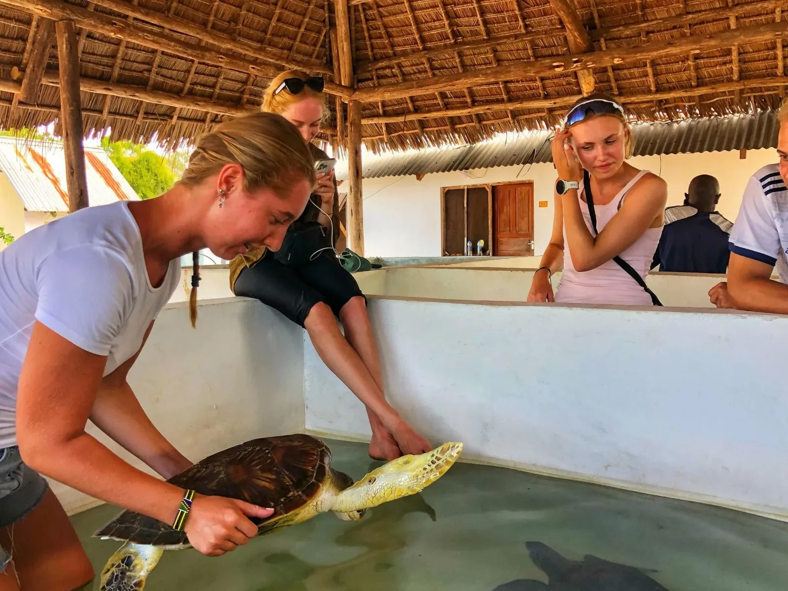 Conservation des tortues marines à Zanzibar, Tanzanie, photo 15