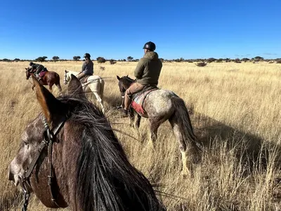 Volontaires à cheval dans la réserve en Namibie
