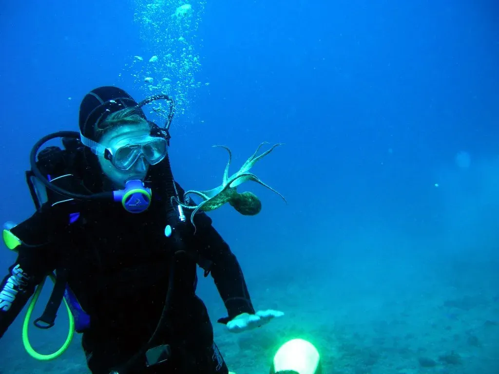 Marine Conservation Volunteering, Croatia, photo 14