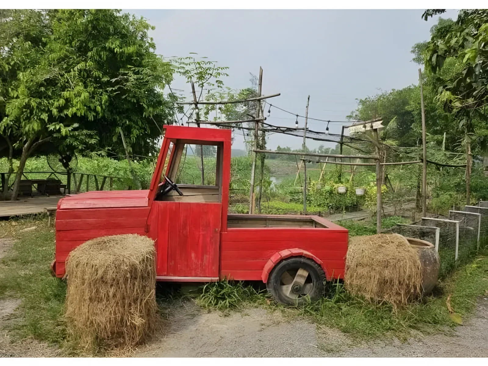 Projet de permaculture au Vietnam, Viêt Nam, photo 16