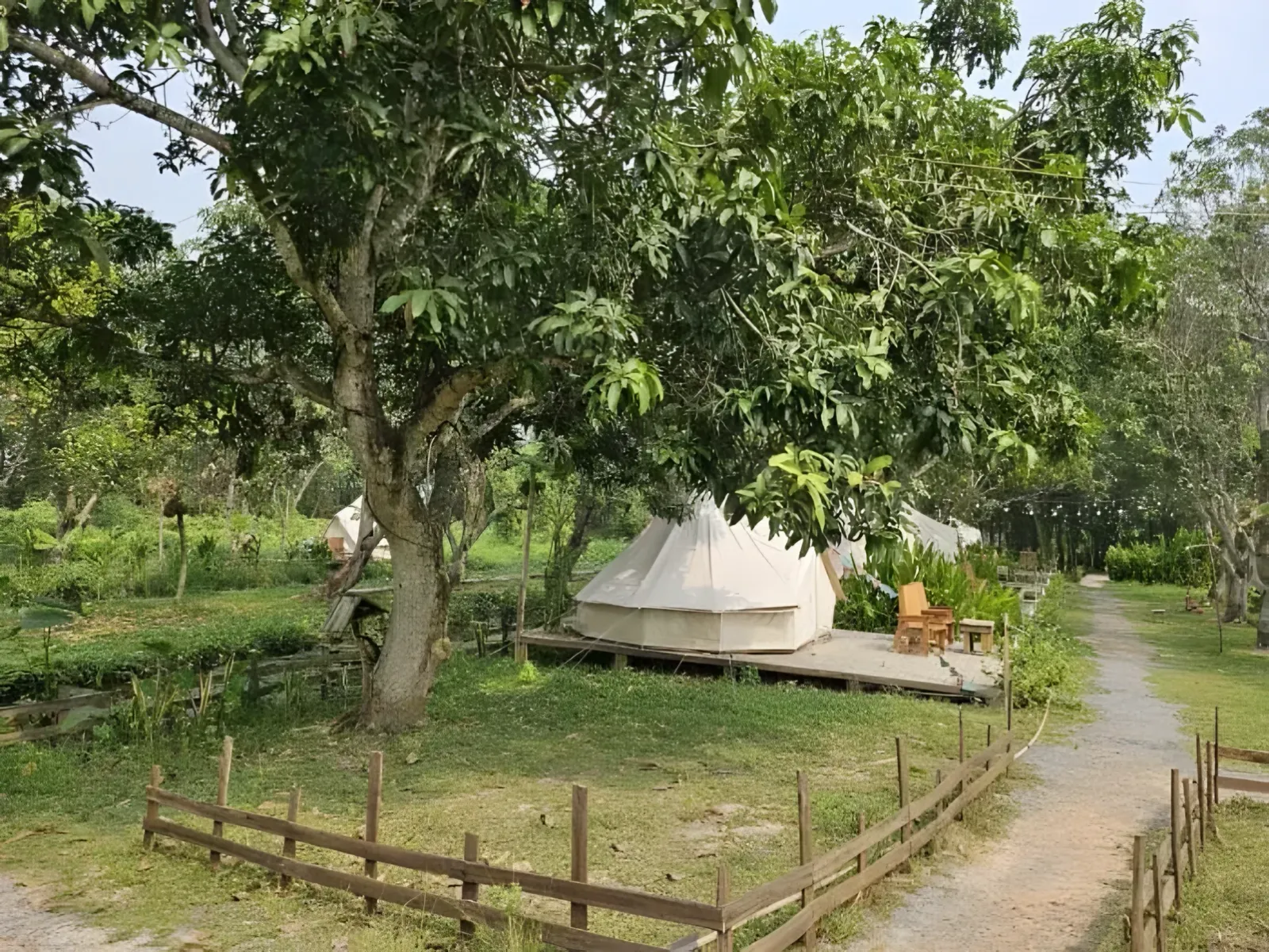 Projet de permaculture au Vietnam, Viêt Nam, photo 2