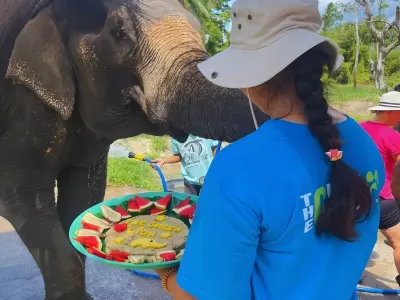 Koh Samui elephant care program, Thailand, photo 5