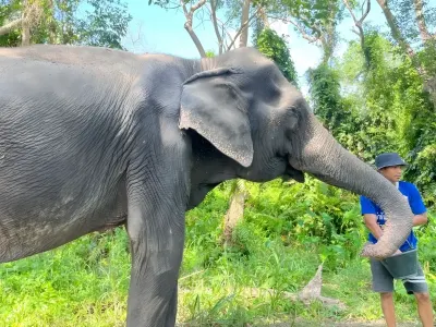 Koh Samui elephant care program, Thailand, photo 4