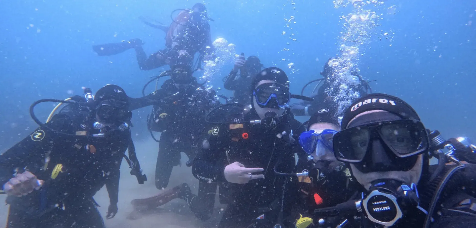 Emma au Portugal : Un volontariat engagé pour la conservation marine