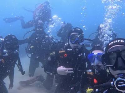 Emma au Portugal : Un volontariat engagé pour la conservation marine