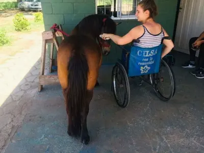 Horse therapy in Argentina, photo 2