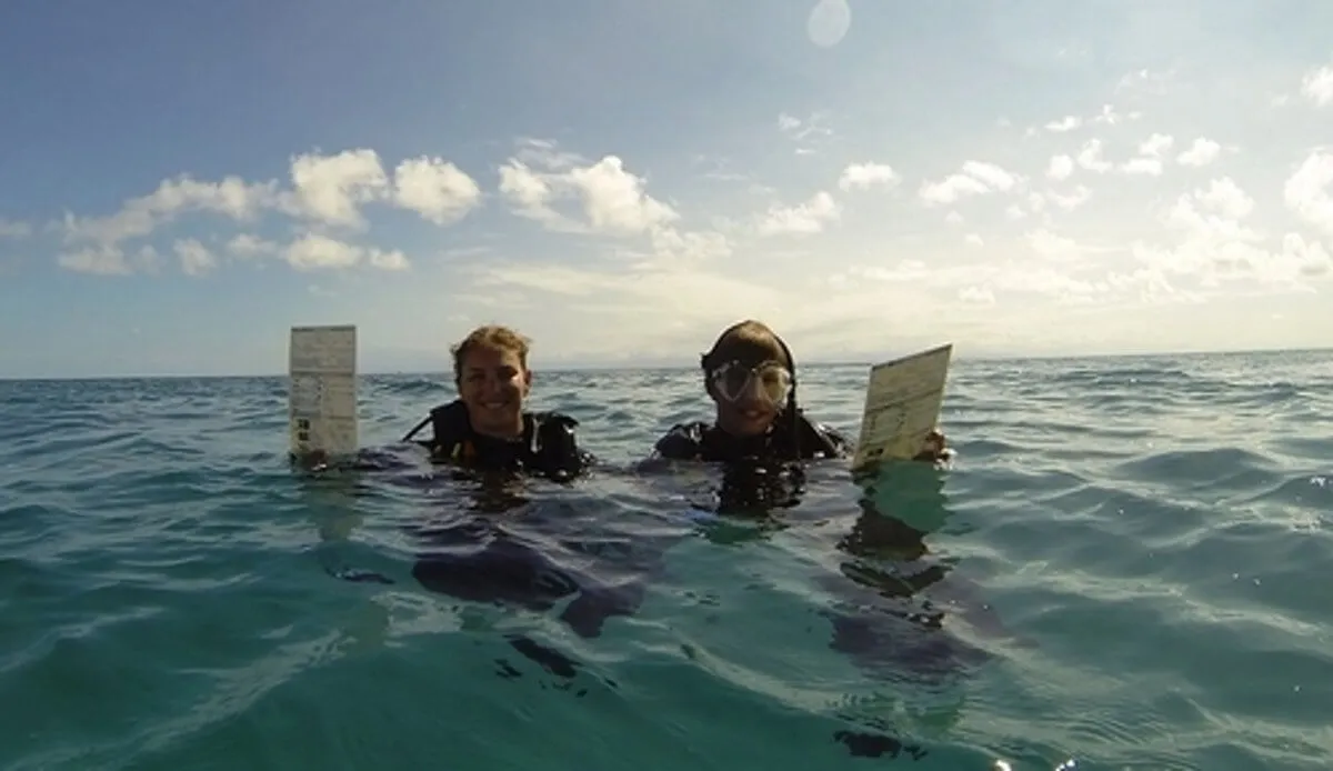Conservation marine dans la Grande Barrière de Corail en Australie