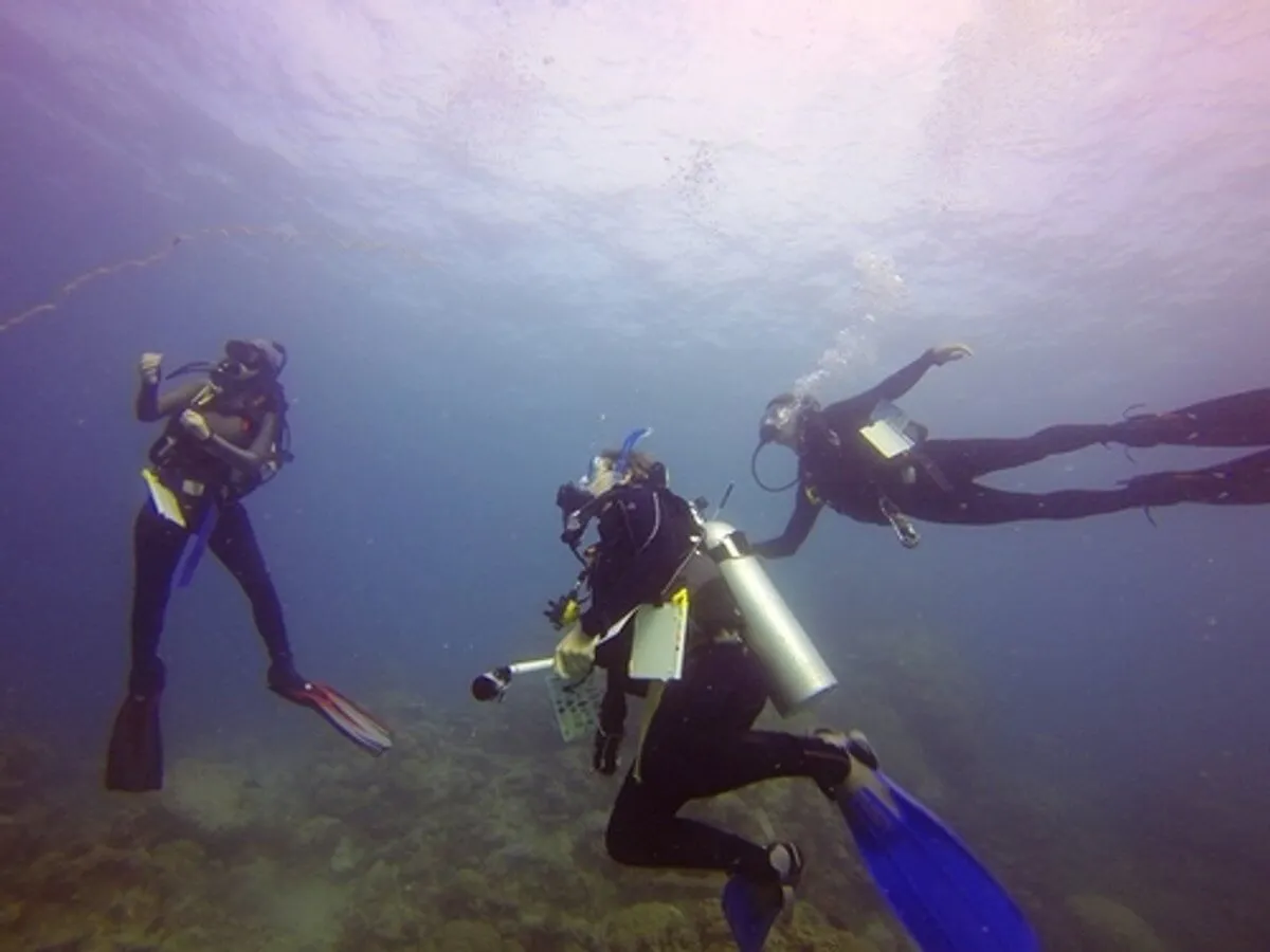 Conservation marine dans la Grande Barrière de Corail en Australie