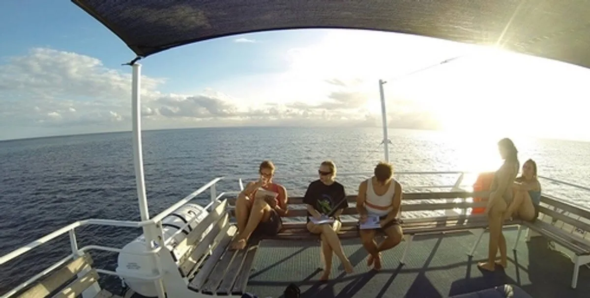 Conservation marine dans la Grande Barrière de Corail en Australie