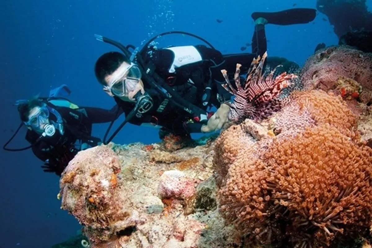 Conservation marine dans la Grande Barrière de Corail en Australie