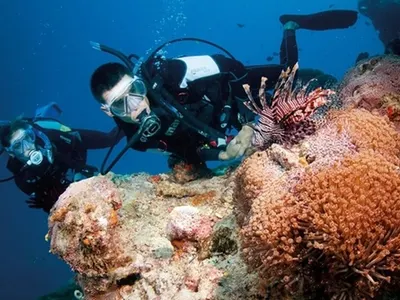 Marine Conservation in Australia