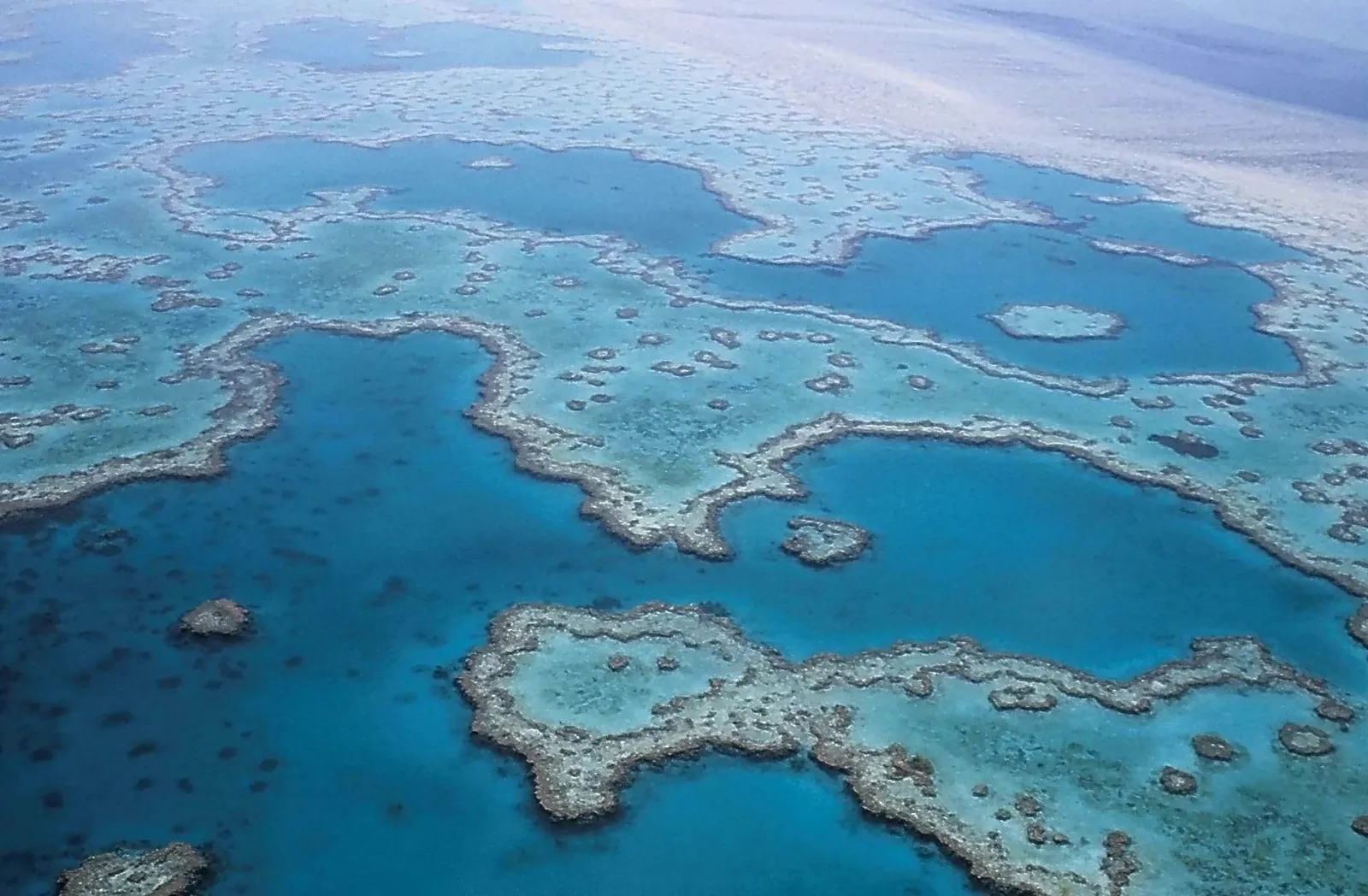 Conservation marine dans la Grande Barrière de Corail en Australie