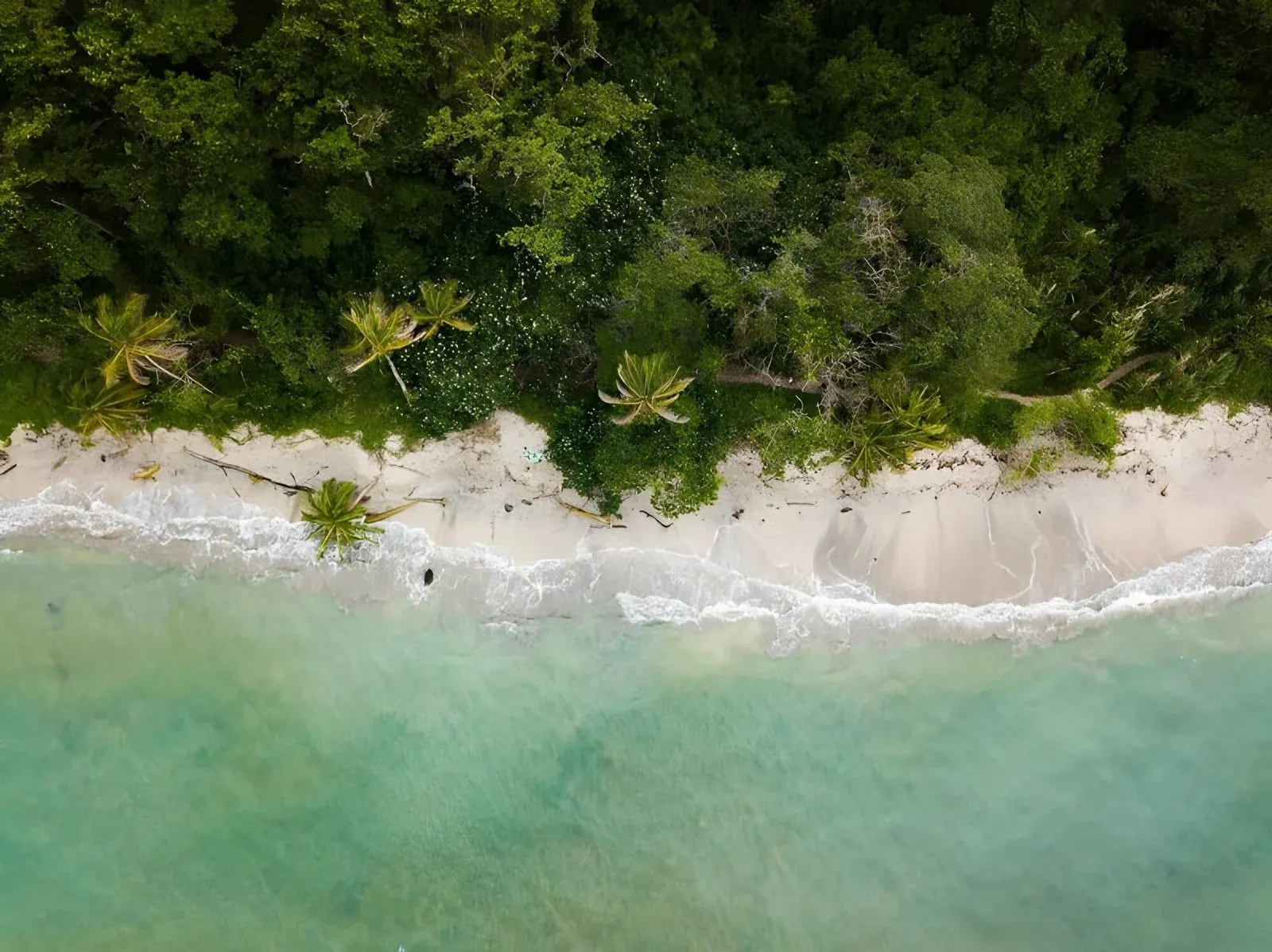 Projet éducatif avec les enfants au Costa Rica