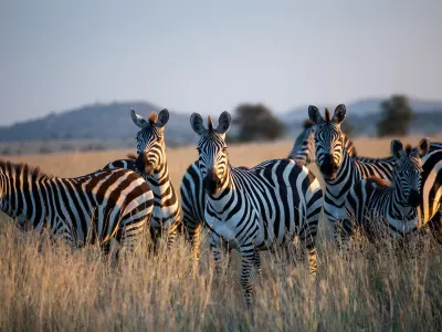 Protecting wildlife in Kenya, photo 18
