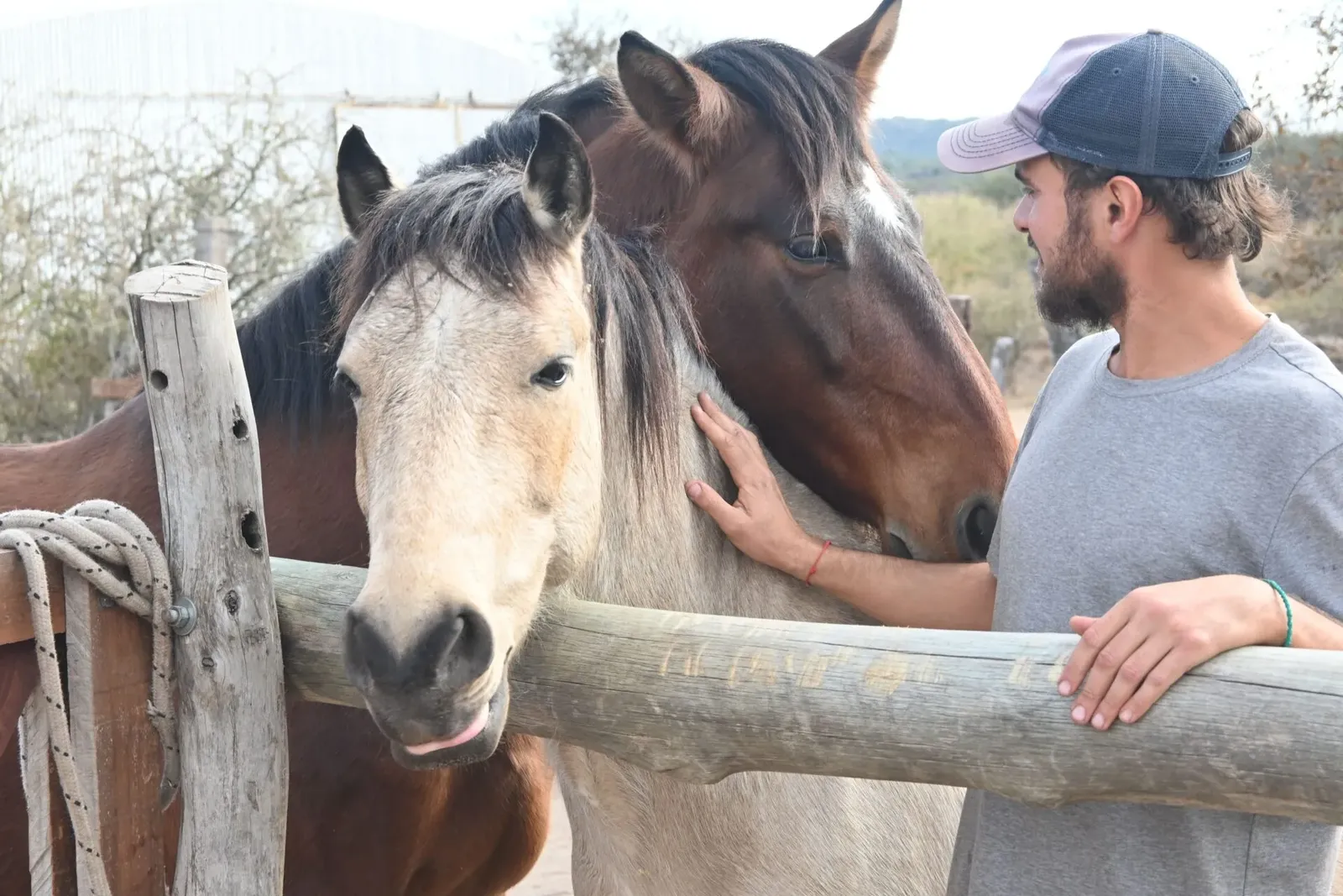 Care in a horse sanctuary in Argentina, photo 17