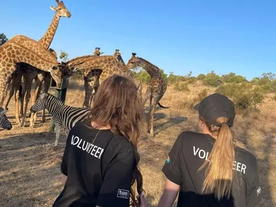 Wildlife Sanctuary near Johannesburg, South Africa, photo 7