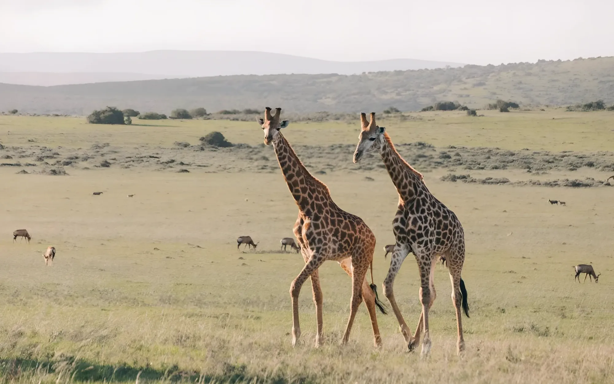 Léonie et Amélie nous racontent leur expérience au Kenya.