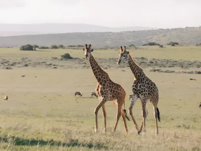 Léonie et Amélie nous racontent leur expérience au Kenya.