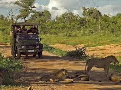 Big Five expedition in Kruger Park