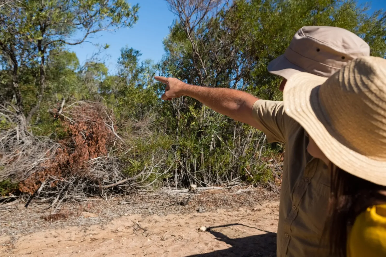 Protection des animaux sauvages au Botswana