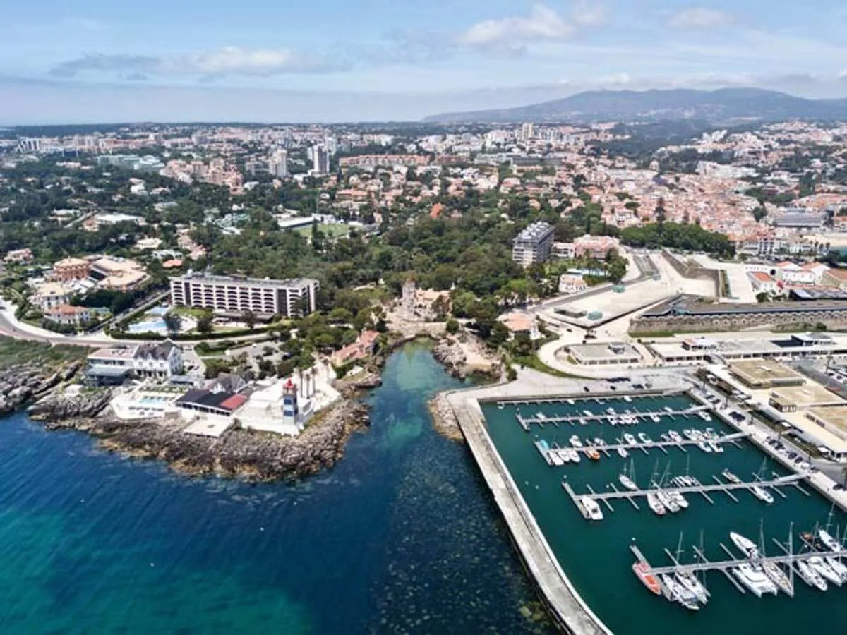 Conservation marine au Portugal, photo 3