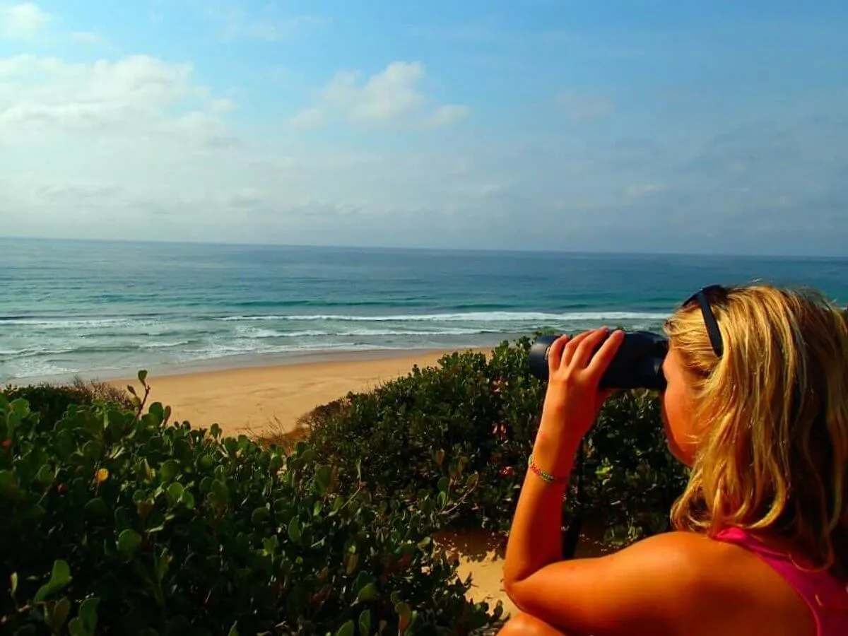 Marine Conservation: Sharks, Whales and Penguins, South Africa