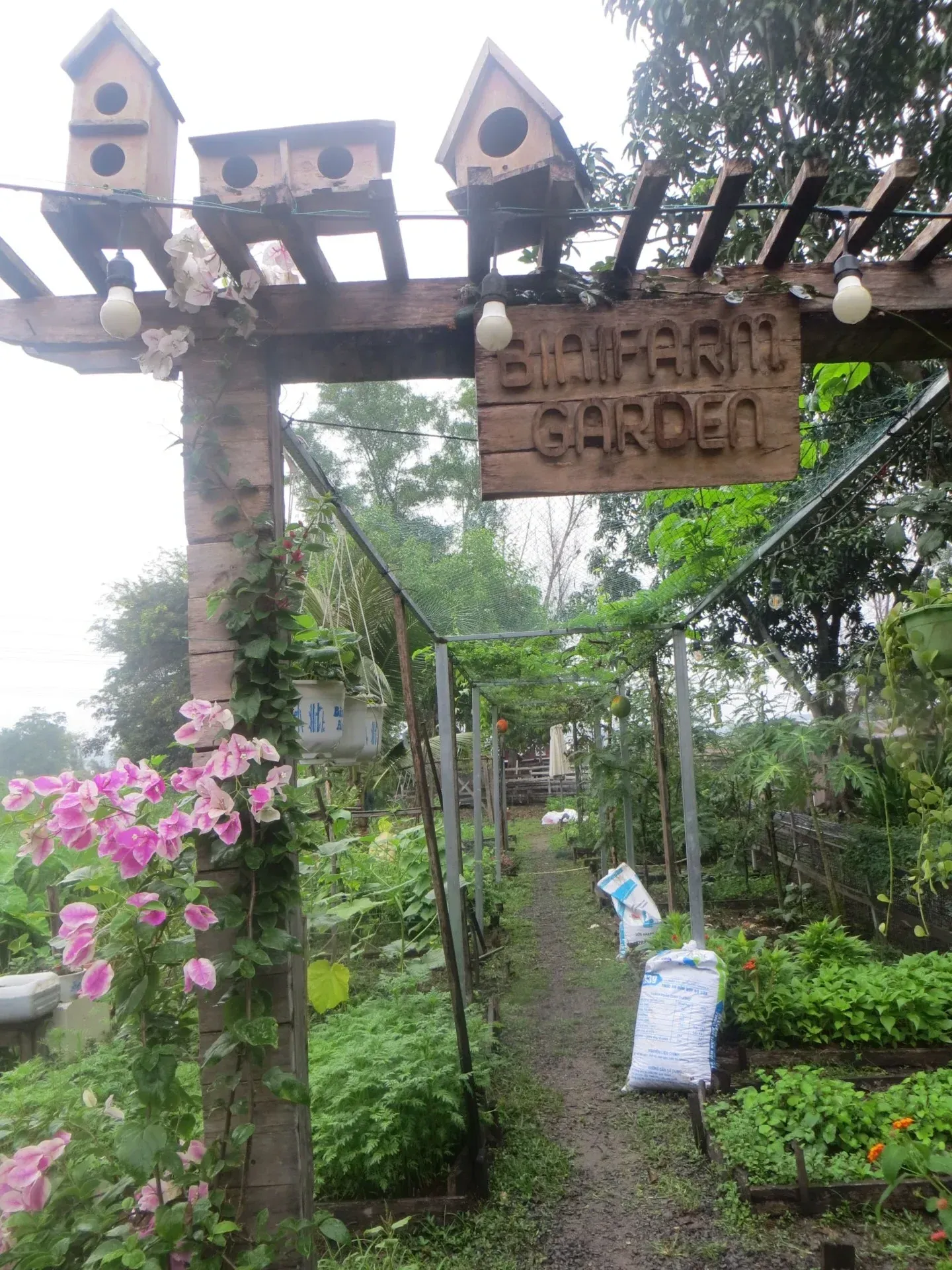 Projet de permaculture au Vietnam, Viêt Nam, photo 10