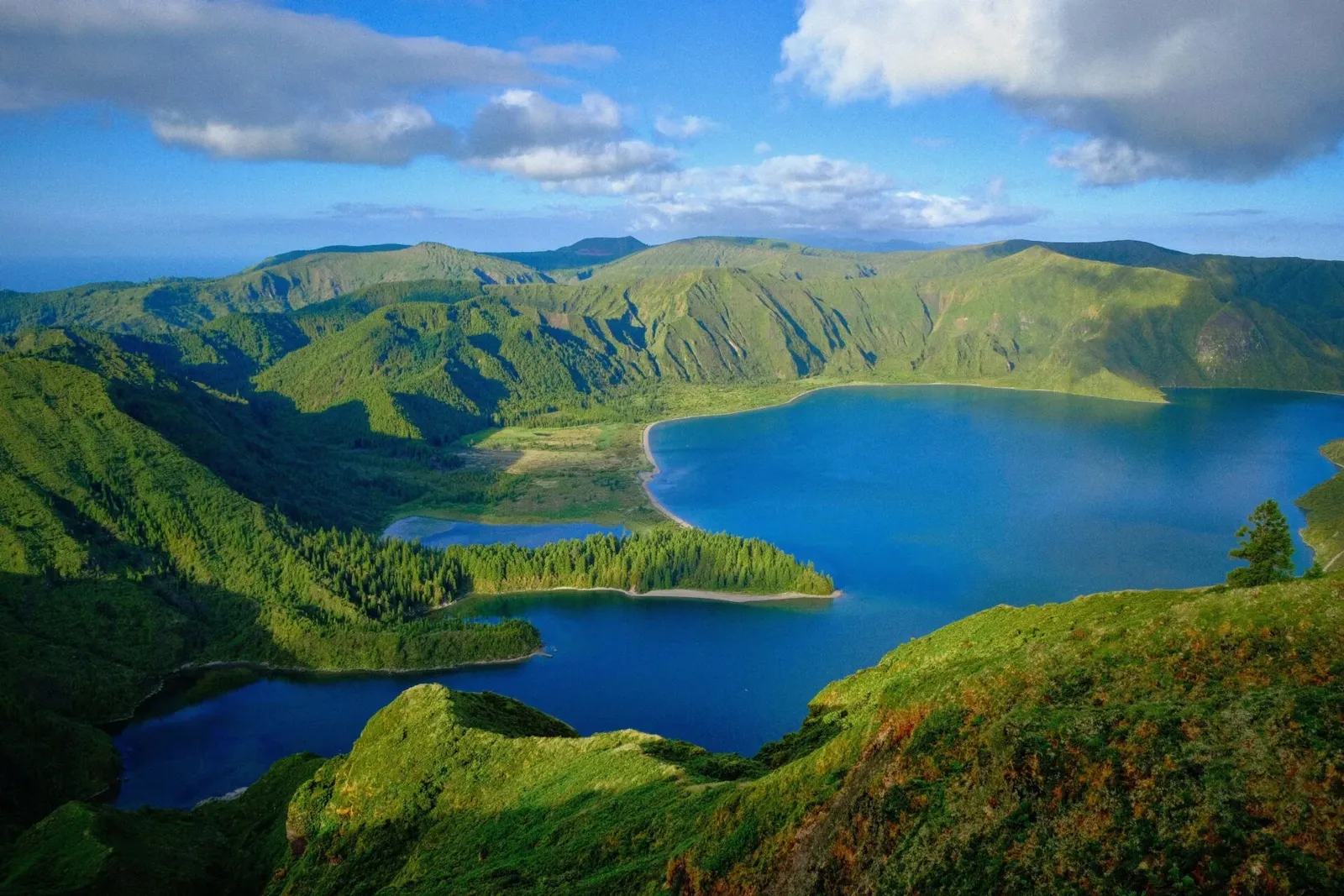Sustainable farming in the Azores, Portugal, photo 10