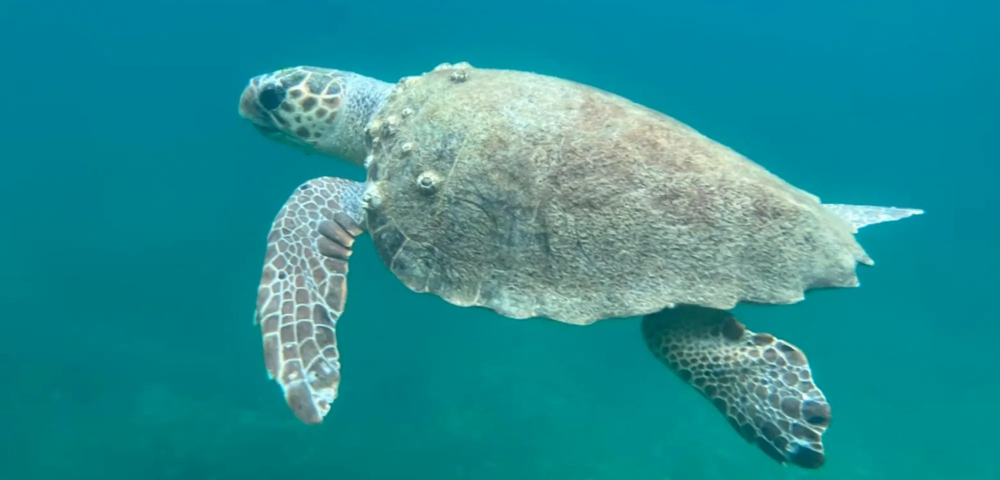Taking action for sustainable tourism