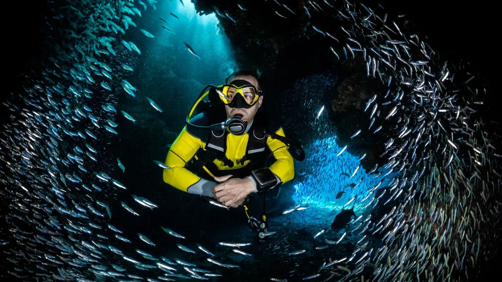 Marine protection in Spain, Barcelona, photo 16