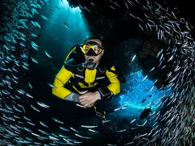 Marine protection in Spain, Barcelona, photo 16