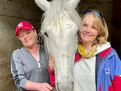 Animal rescue project in Ireland, photo 8