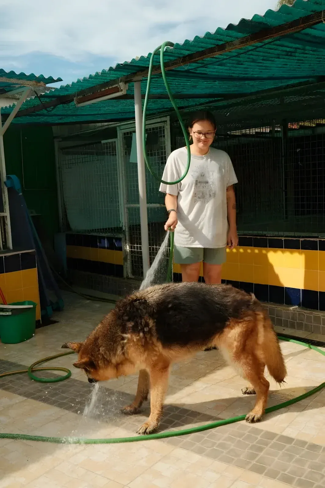 Refuge pour animaux au Portugal, photo 15